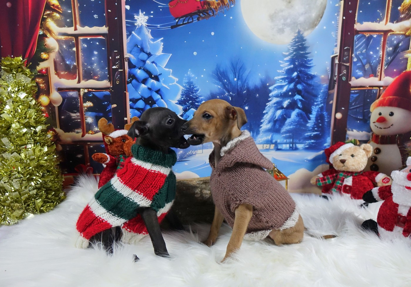 du p'tit Grain de Folie - EN ATTENDANT NOEL A 2 MOIS