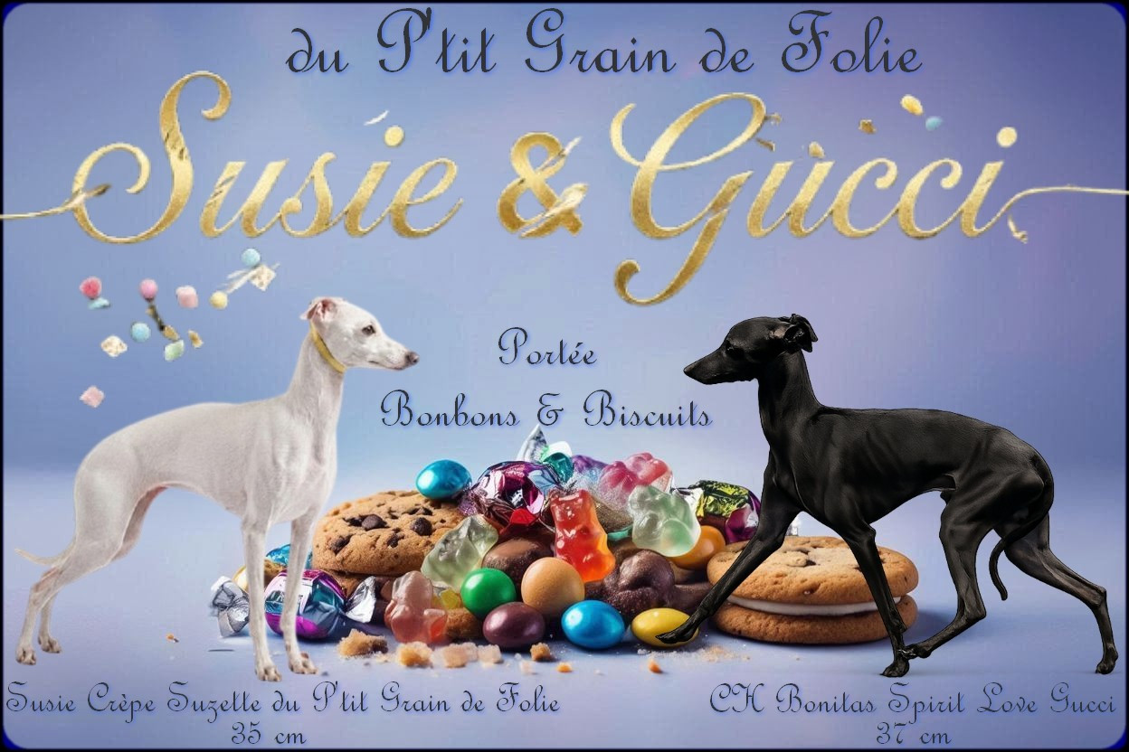 SUSIE EST GESTANTE
