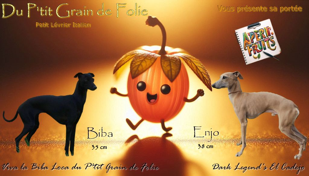 du p'tit Grain de Folie - MARIAGE POUR MI JUILLET
