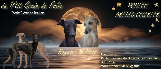 du p'tit Grain de Folie - LES ASTRES SONT EN ROUTE - PORTEE PIXEL